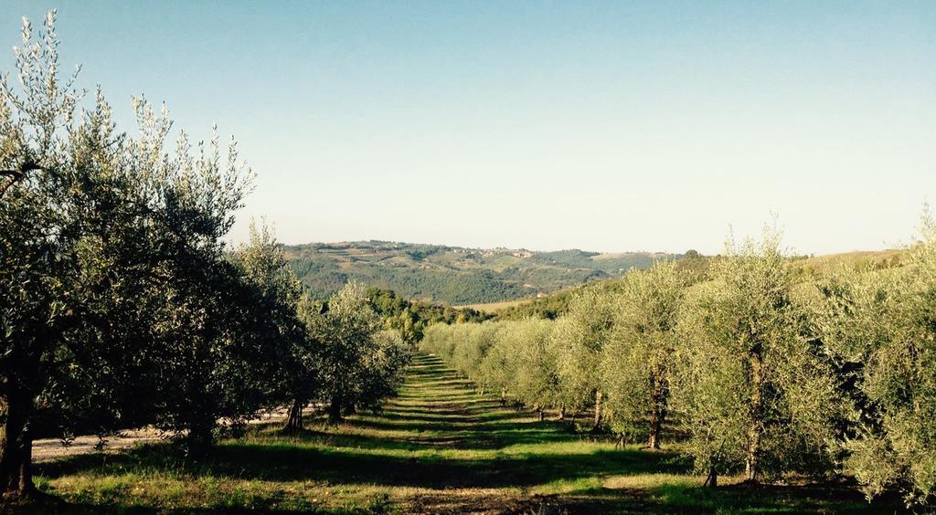 Podere Le Corone Monte Castello di Vibio Exterior photo
